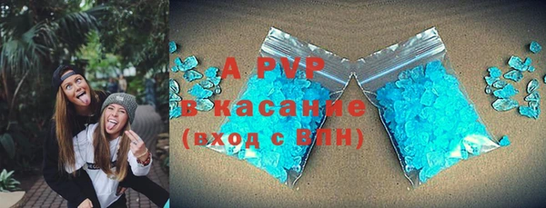 ECSTASY Богданович